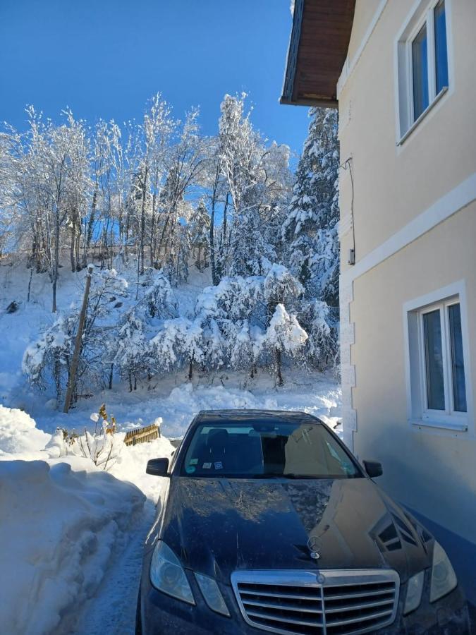 Ferienwohnung Gaensebluemchen Feistritz an der Gail Екстер'єр фото